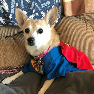 Fundraising Page: Glenn Hagerstrom